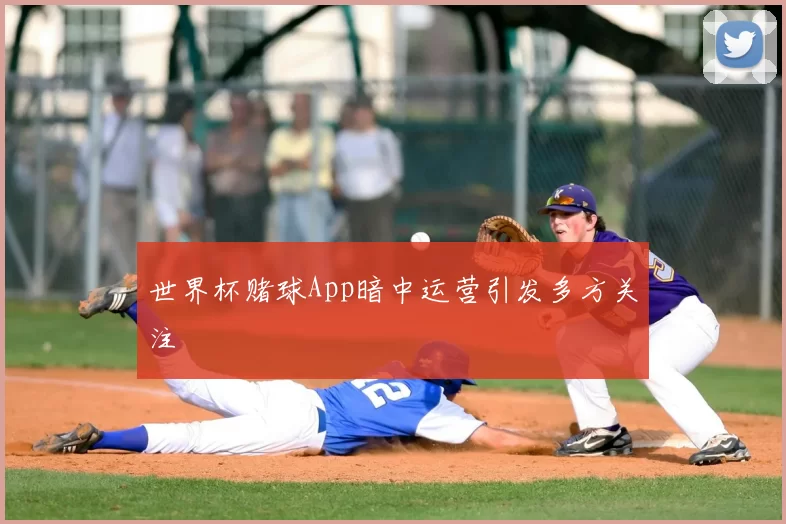 世界杯赌球App暗中运营引发多方关注