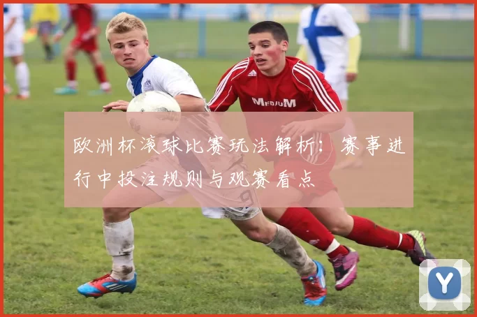 欧洲杯滚球比赛玩法解析：赛事进行中投注规则与观赛看点