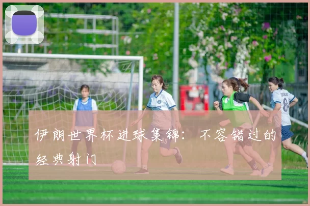 伊朗世界杯进球集锦:不容错过的经典射门