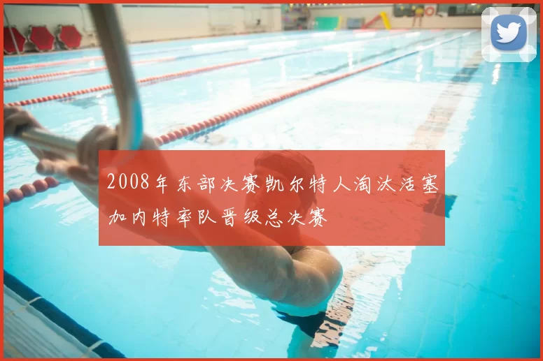 2008年东部决赛凯尔特人淘汰活塞加内特率队晋级总决赛