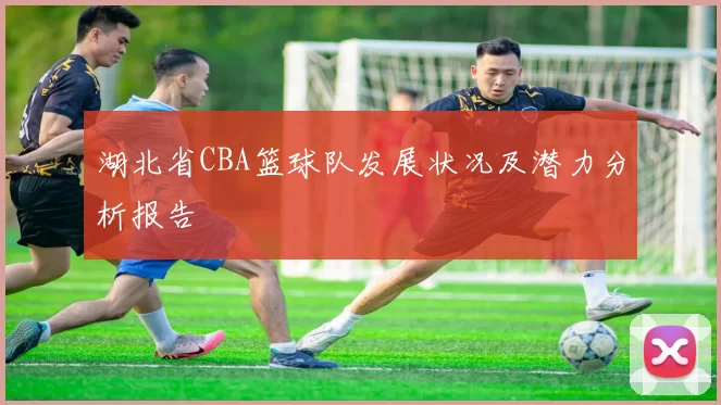 湖北省CBA篮球队发展状况及潜力分析报告