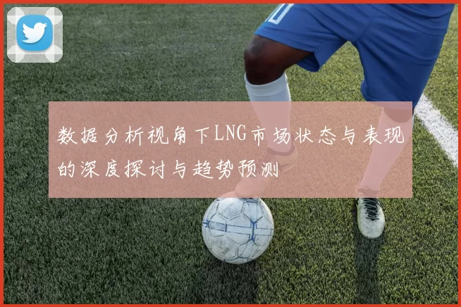 数据分析视角下LNG市场状态与表现的深度探讨与趋势预测