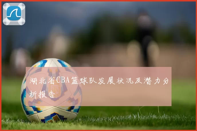 湖北省CBA篮球队发展状况及潜力分析报告