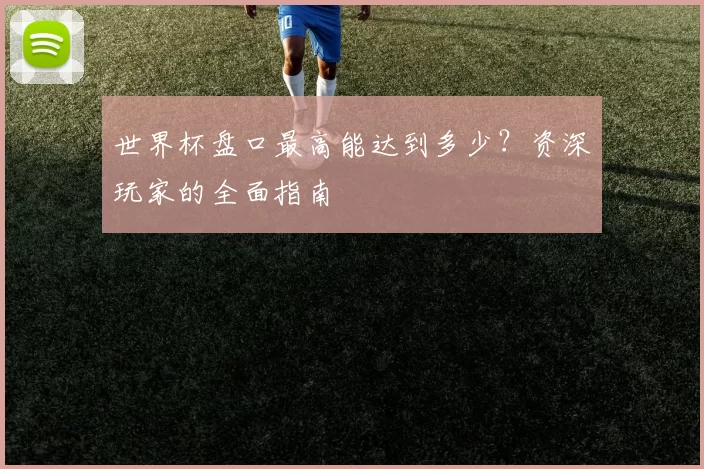 世界杯盘口最高能达到多少?资深玩家的全面指南