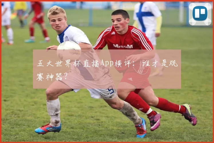 五大世界杯直播App横评：谁才是观赛神器？