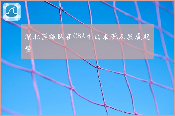 湖北篮球队在CBA中的表现及发展趋势