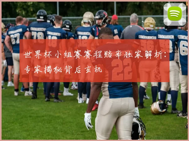 世界杯小组赛赛程赔率独家解析：专家揭秘背后玄机