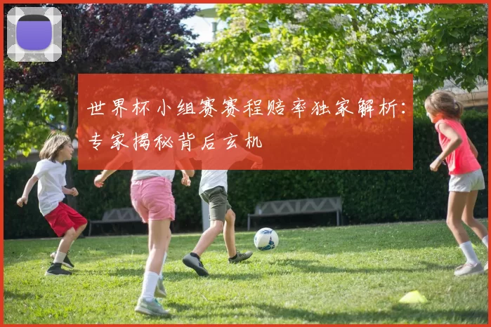 世界杯小组赛赛程赔率独家解析:专家揭秘背后玄机