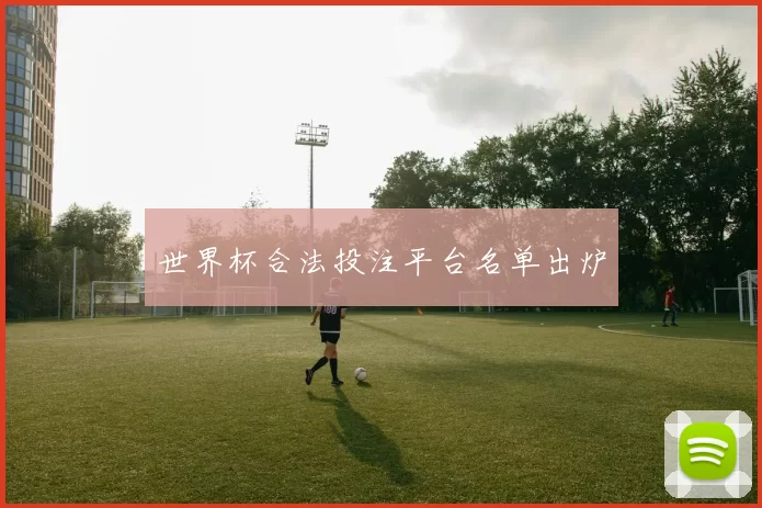 世界杯合法投注平台名单出炉