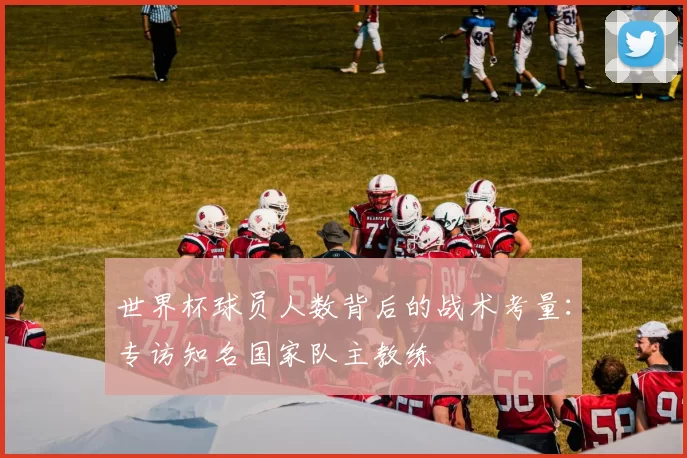 世界杯球员人数背后的战术考量:专访知名国家队主教练