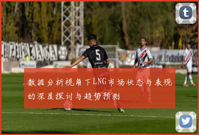 数据分析视角下LNG市场状态与表现的深度探讨与趋势预测