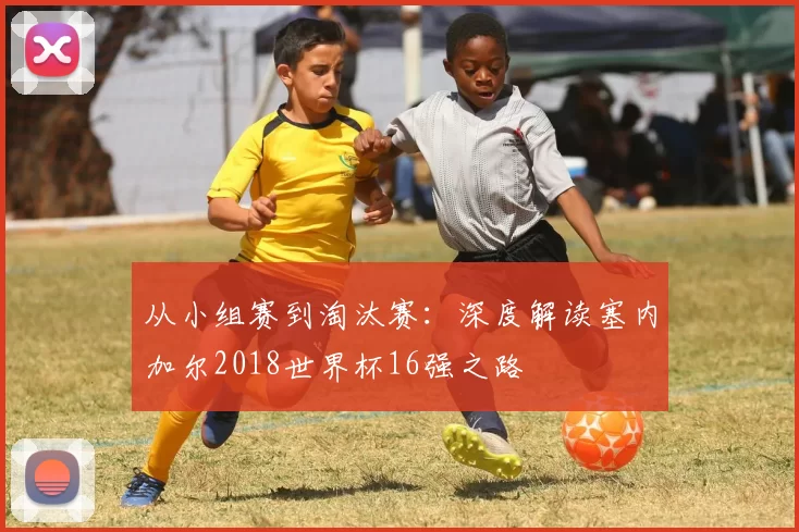 从小组赛到淘汰赛：深度解读塞内加尔2018世界杯16强之路